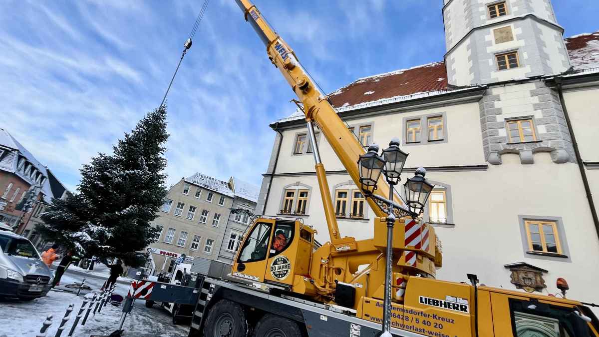 Aufstellung des Weihnachtsbaumes